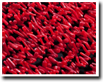 Coral strings